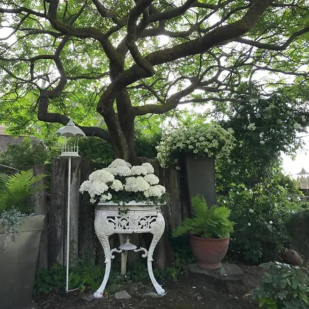 Viktoria House Case de vacanță Balatonszarszo