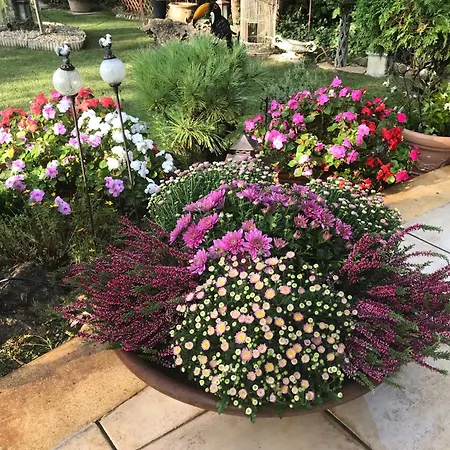 Viktoria House Case de vacanță Balatonszarszo